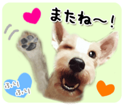 Terrier brothers everyday use sticker sticker #15629505