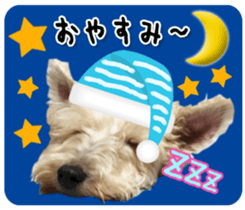 Terrier brothers everyday use sticker sticker #15629506