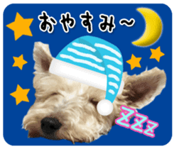 Terrier brothers everyday use sticker sticker #15629506