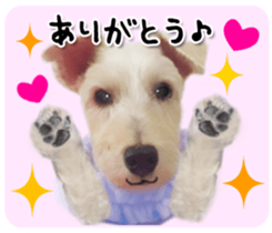 Terrier brothers everyday use sticker sticker #15629507