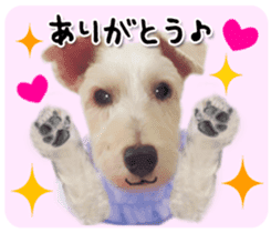 Terrier brothers everyday use sticker sticker #15629507