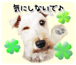 Terrier brothers everyday use sticker sticker #15629510