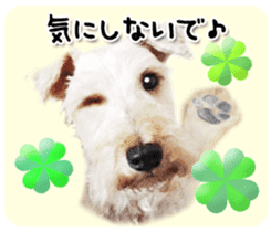 Terrier brothers everyday use sticker sticker #15629510