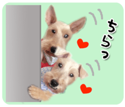 Terrier brothers everyday use sticker sticker #15629512