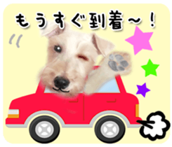 Terrier brothers everyday use sticker sticker #15629513