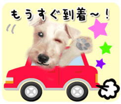 Terrier brothers everyday use sticker sticker #15629513