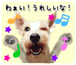 Terrier brothers everyday use sticker sticker #15629514