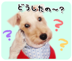 Terrier brothers everyday use sticker sticker #15629515