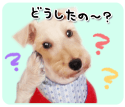 Terrier brothers everyday use sticker sticker #15629515