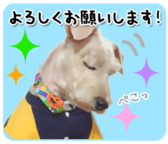 Terrier brothers everyday use sticker sticker #15629516