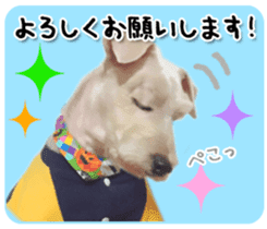 Terrier brothers everyday use sticker sticker #15629516