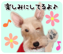 Terrier brothers everyday use sticker sticker #15629517