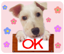 Terrier brothers everyday use sticker sticker #15629519