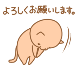 Cute cat of a respect language sticker #15630980