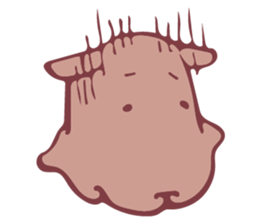 Pancake devilfish which sleeps well sticker #15631057
