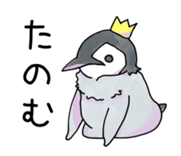 Unfriendly penguin sticker #15631564
