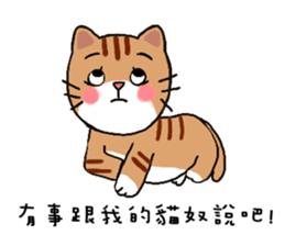 Cat slaves hardcover version sticker #15634663