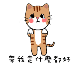 Cat slaves hardcover version sticker #15634665