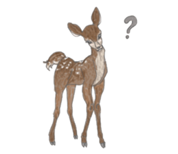 Bobbed hair girl! sticker #15636984