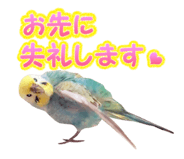 Cool pi-tyan3 sticker #15637819