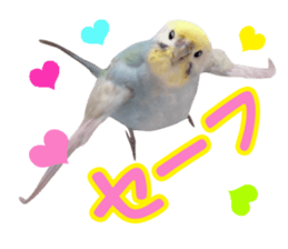 Cool pi-tyan3 sticker #15637821