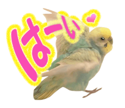 Cool pi-tyan3 sticker #15637823