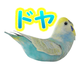 Cool pi-tyan3 sticker #15637824