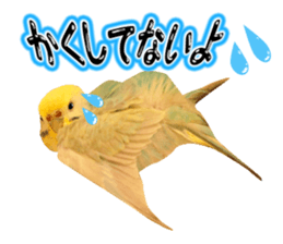 Cool pi-tyan3 sticker #15637827