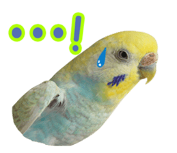 Cool pi-tyan3 sticker #15637828