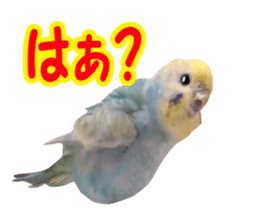 Cool pi-tyan3 sticker #15637829