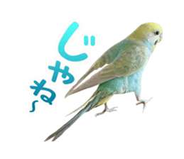 Cool pi-tyan3 sticker #15637830