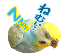 Cool pi-tyan3 sticker #15637832