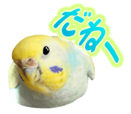 Cool pi-tyan3 sticker #15637833