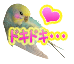 Cool pi-tyan3 sticker #15637834