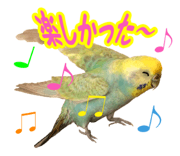 Cool pi-tyan3 sticker #15637835