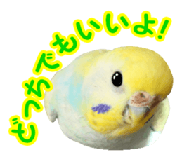 Cool pi-tyan3 sticker #15637836