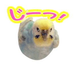 Cool pi-tyan3 sticker #15637838