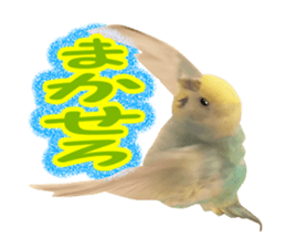 Cool pi-tyan3 sticker #15637840