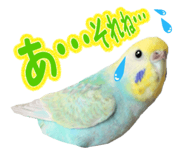 Cool pi-tyan3 sticker #15637841