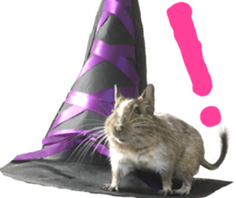 degu yukirin sticker #15639094