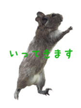 degu yukirin sticker #15639096