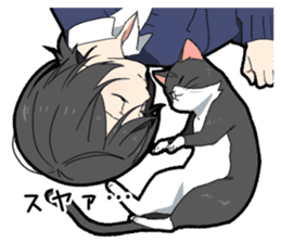 Ailurophile boy sticker #15640189