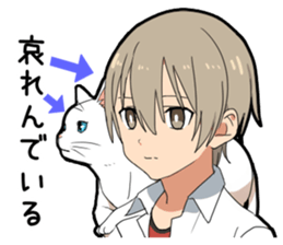 Ailurophile boy sticker #15640198