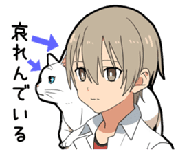 Ailurophile boy sticker #15640198