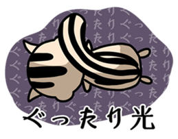 Our name is Hikaru and Hikari sticker #15642123