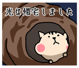 Our name is Hikaru and Hikari sticker #15642146