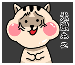 Our name is Hikaru and Hikari sticker #15642151