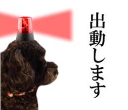The toy poodle photo sticker 1 sticker #15643100
