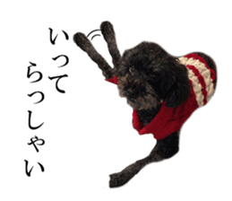 The toy poodle photo sticker 1 sticker #15643106