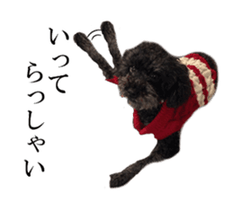 The toy poodle photo sticker 1 sticker #15643106